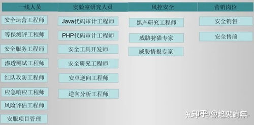 网络安全与软件开发 未来十年的黄金赛道与历史镜鉴
